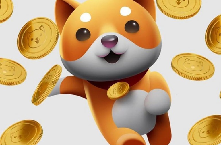 Baby Doge Coin (BabyDoge)Gaming16