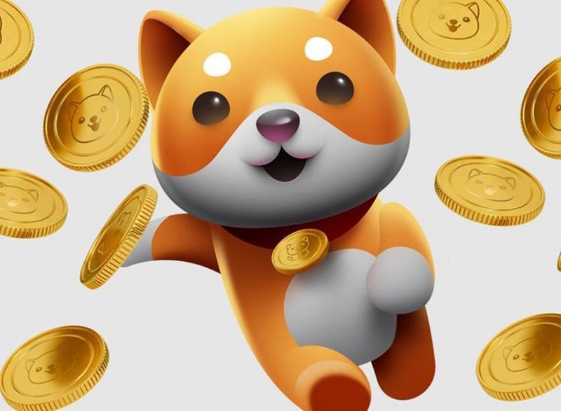 Baby Doge Coin (BabyDoge)Gaming16