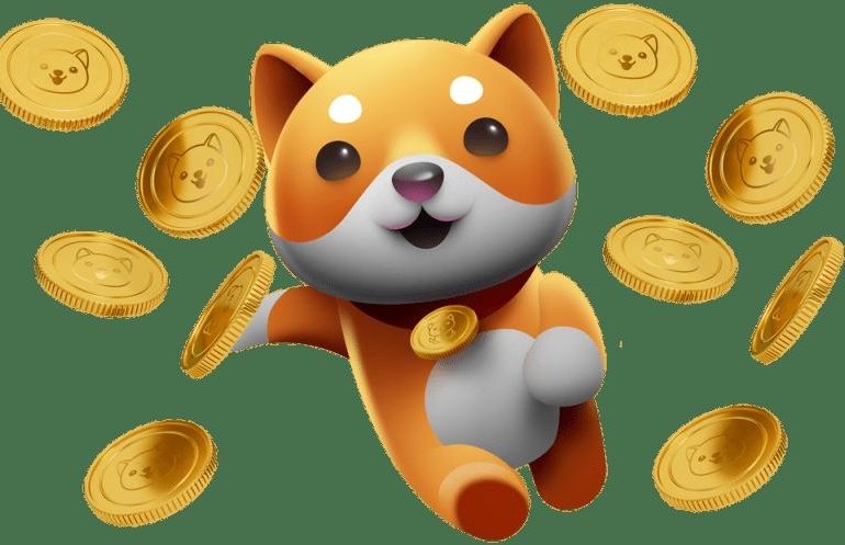 Baby Doge Coin (BabyDoge)Meme13