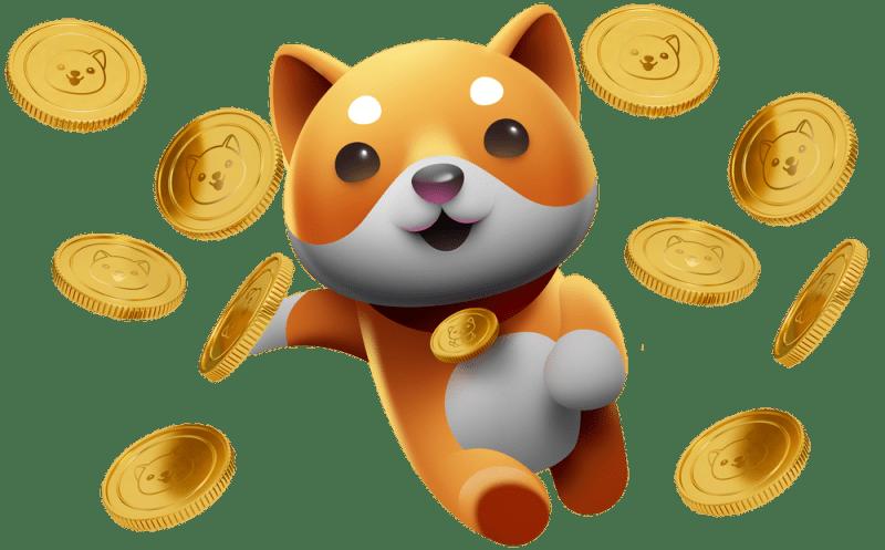 Baby Doge Coin (BabyDoge)Meme13