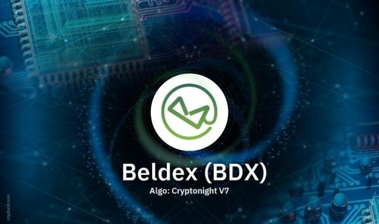 Beldex (BDX)Dephin21