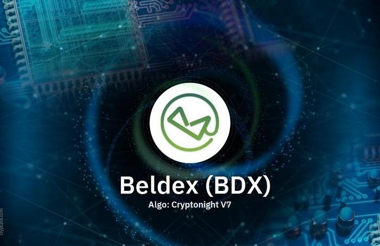 Beldex (BDX)Dephin21