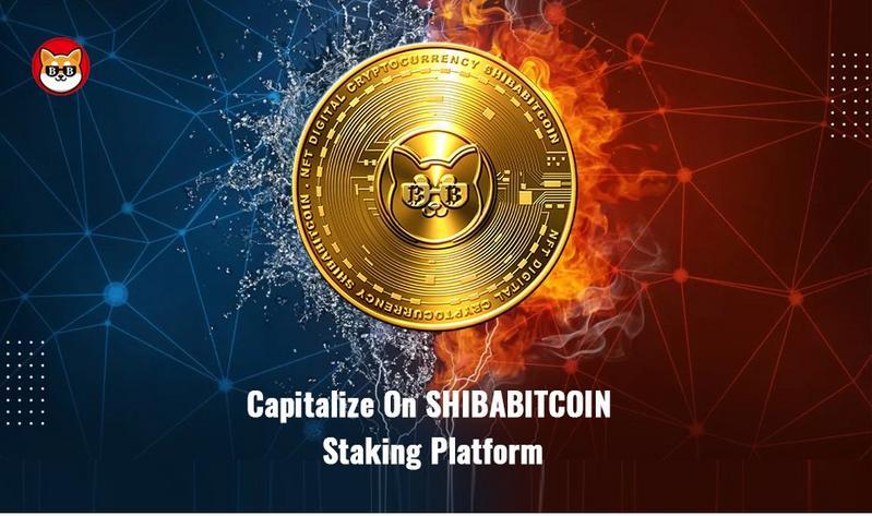 ShibaBitcoin (SHIBTC)Meme41