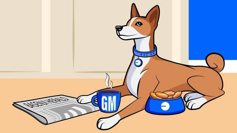 Basenji (BENJI)Meme80