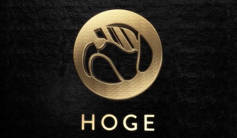 Hoge Finance (HOGE)Meme126