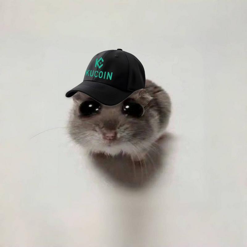 SAD HAMSTER (HAMMY)Meme85