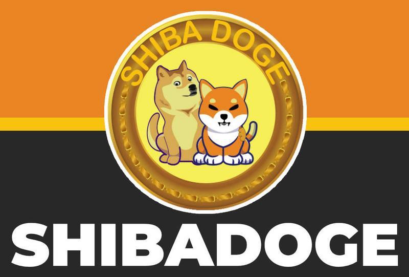 ShibaDoge (SHIBDOGE)Meme143