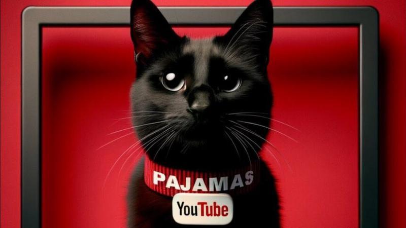 The First Youtube Cat (PAJAMAS)Meme133